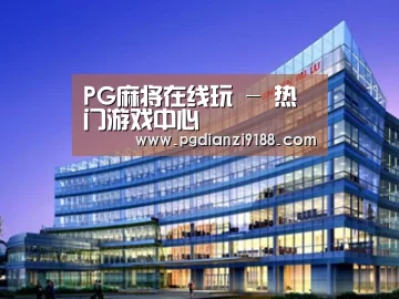 案例展示五