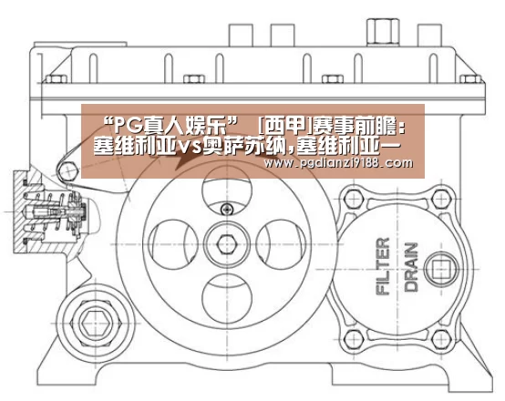 PG电子官方入口