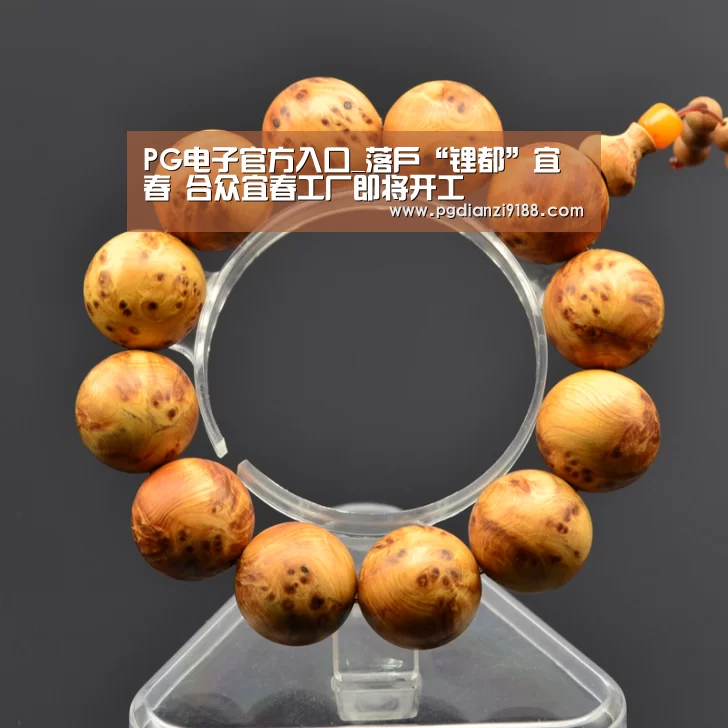 PG电子官方入口_落户“锂都”宜春 合众宜春工厂即将开工(图2) PG电子官方入口