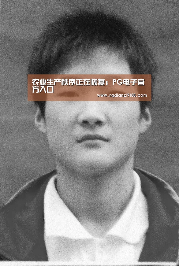 PG电子官方入口