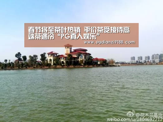 春节将至茶叶热销 平价茶受接待高端茶遇冷“PG真人娱乐”(图1) PG电子官方入口