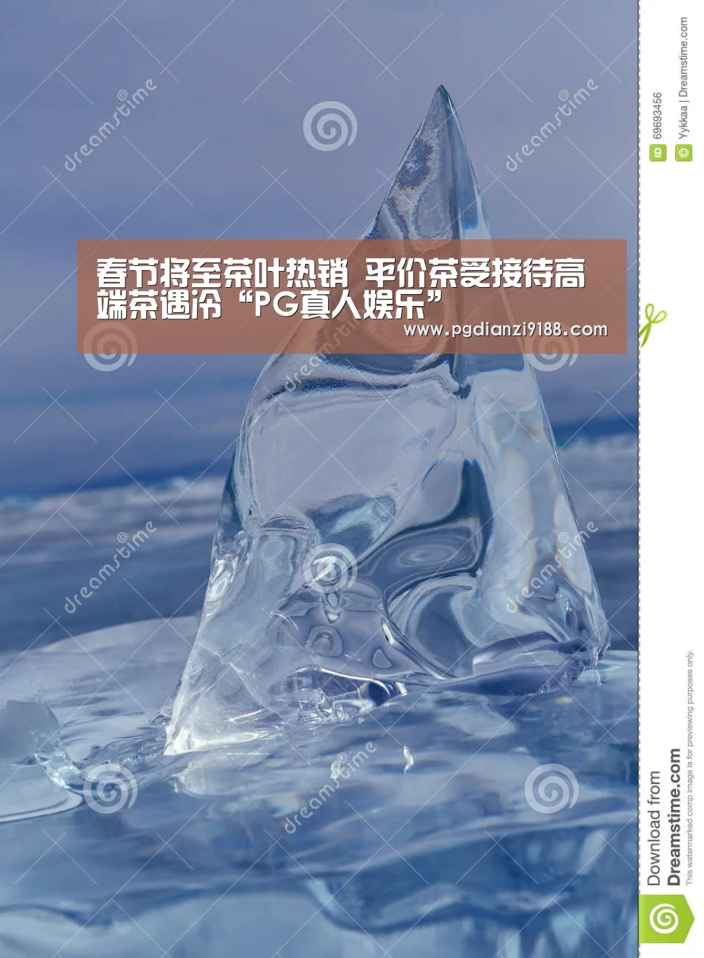 春节将至茶叶热销 平价茶受接待高端茶遇冷“PG真人娱乐”(图2) PG真人娱乐