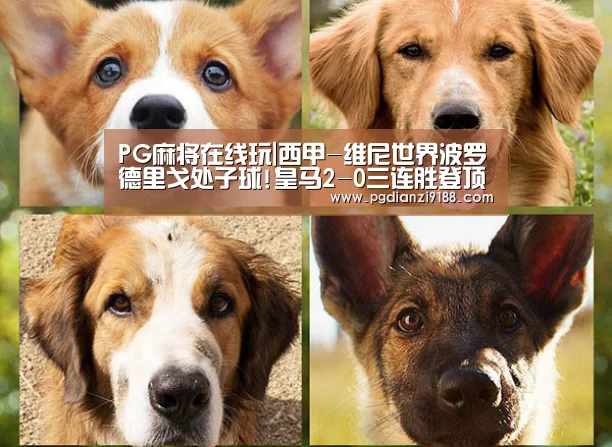 PG真人娱乐