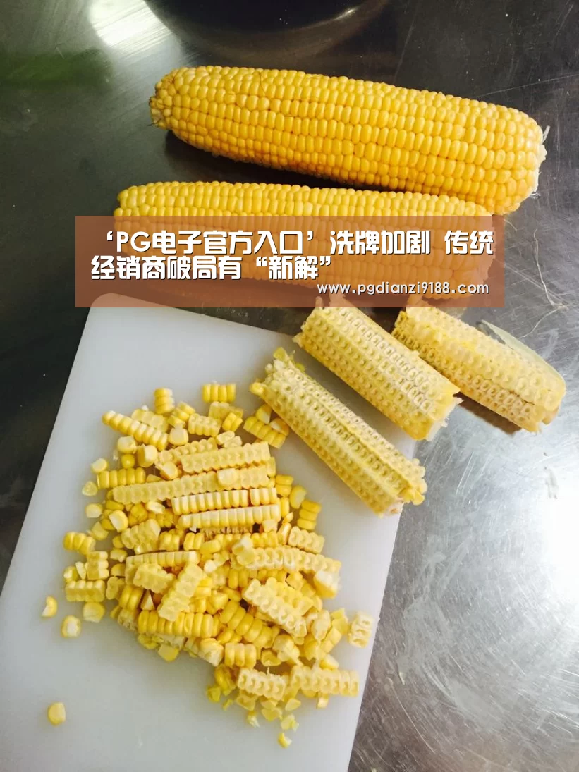 ‘PG电子官方入口’洗牌加剧 传统经销商破局有“新解”(图3) PG官方网站