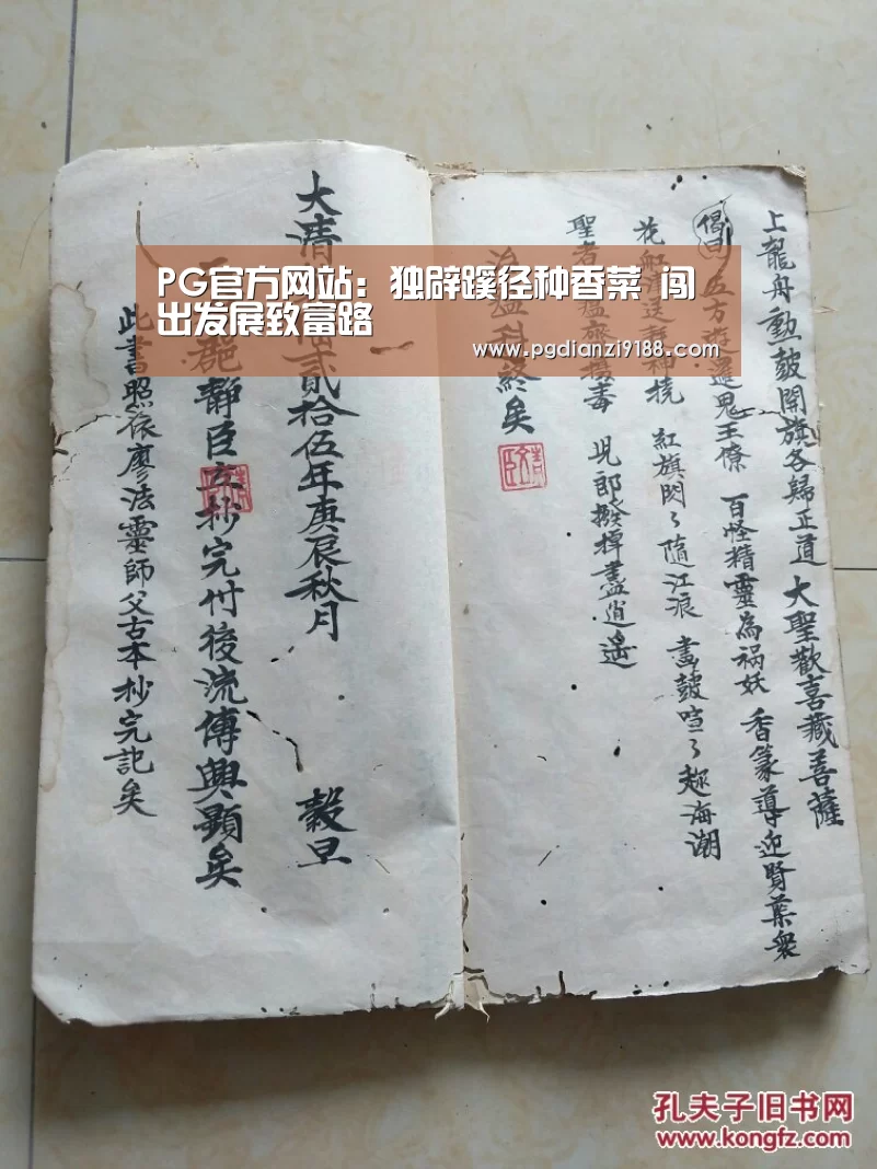 PG麻将在线玩