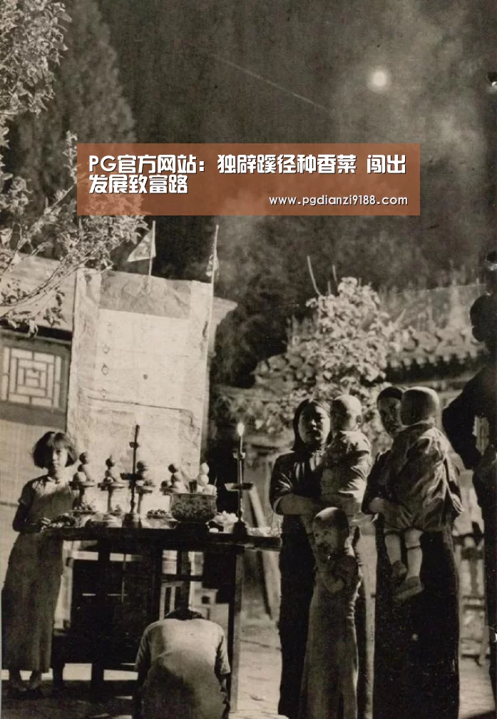 PG电子官方入口