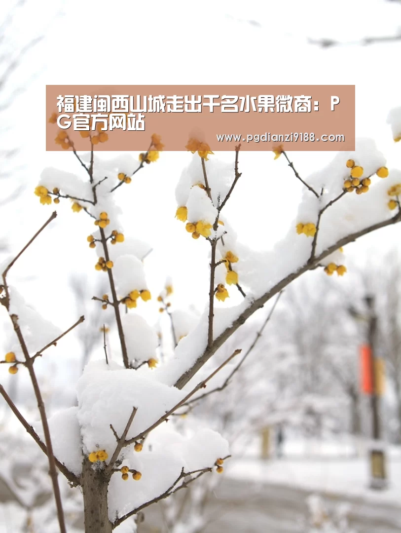 福建闽西山城走出千名水果微商:PG官方网站(图2) PG真人娱乐