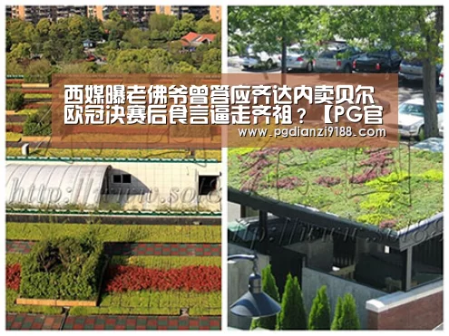 西媒曝老佛爷曾答应齐达内卖贝尔 欧冠决赛后食言逼走齐祖?【PG官方网站】(图1) PG官方网站