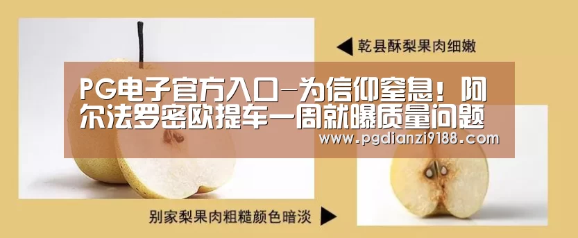 PG官方网站